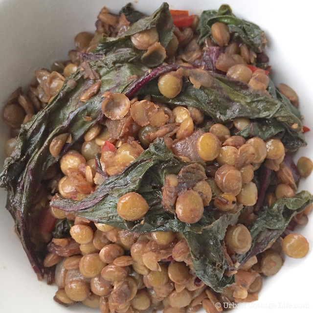 Lentils Again? Yes! Lentils & Beet Greens with Quick Pickled Beet