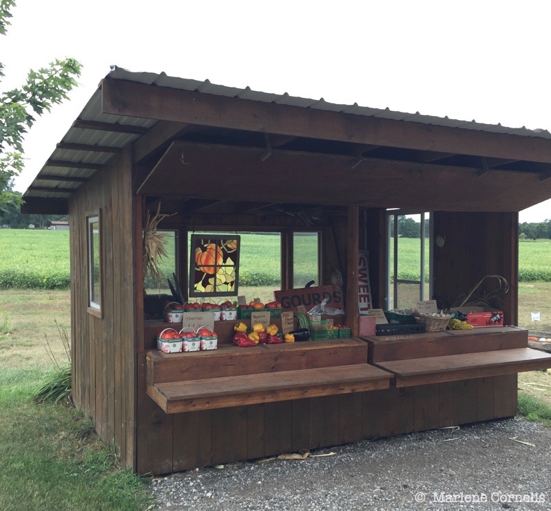 andy & maria noorenberghe farm stand
